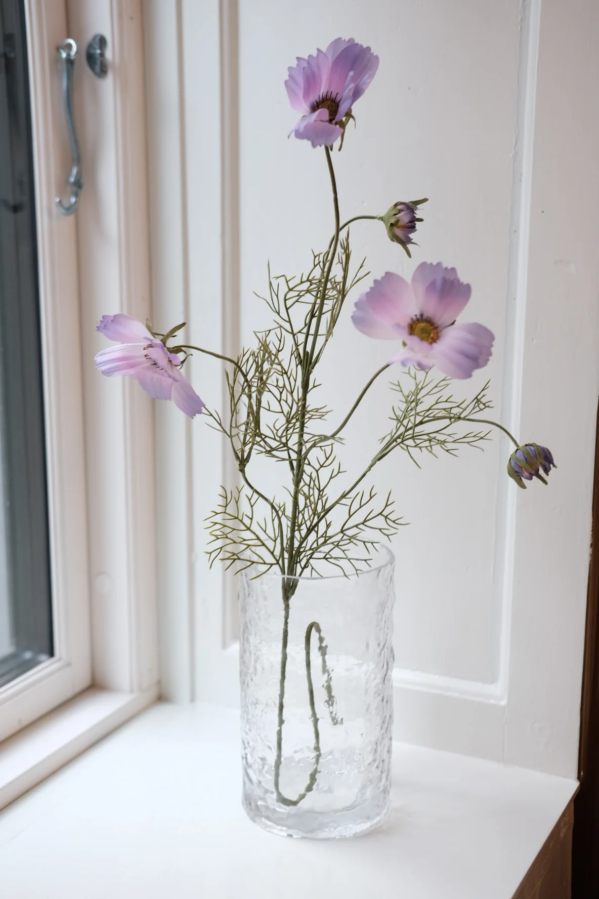 Blomst • Cosmos • Stolt Kavaler • Lilla
