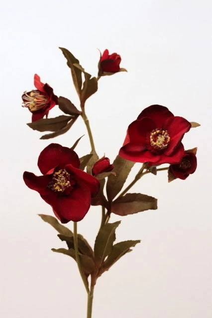 Blomst • Påskeklokke • Rød - Image 2