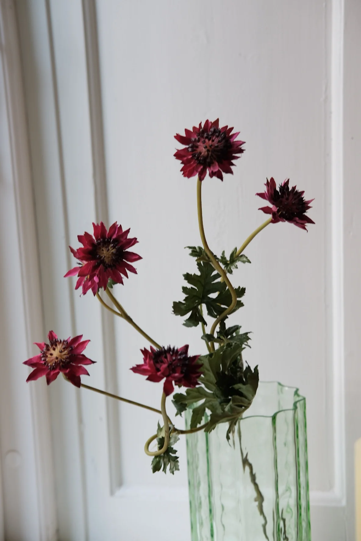 Miniaturebillede 1
