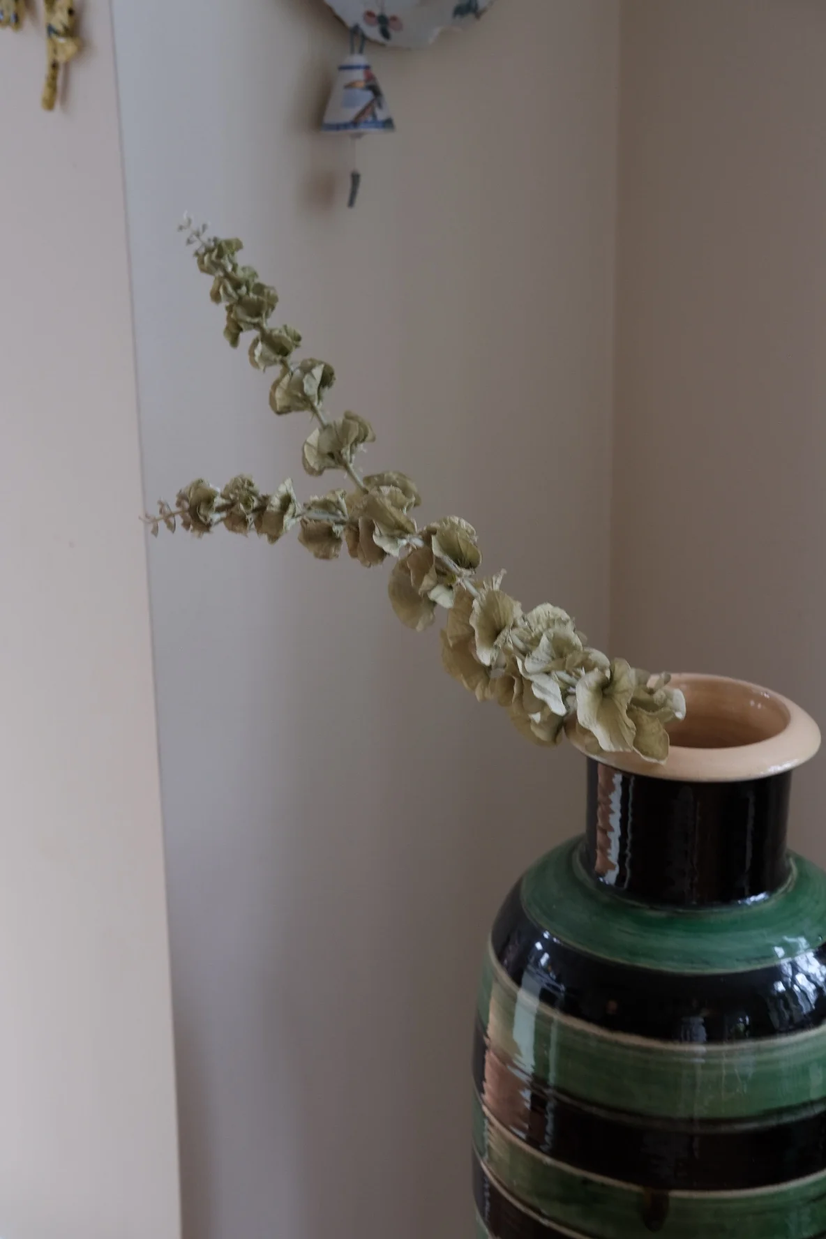 Blomst • Tragtbæger • Grøn