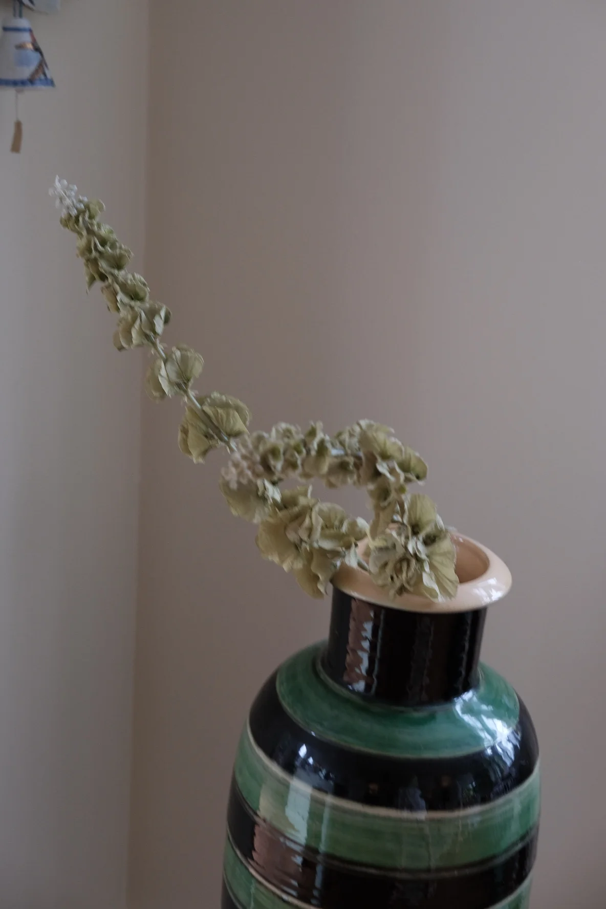 Blomst • Tragtbæger • Grøn - Image 2