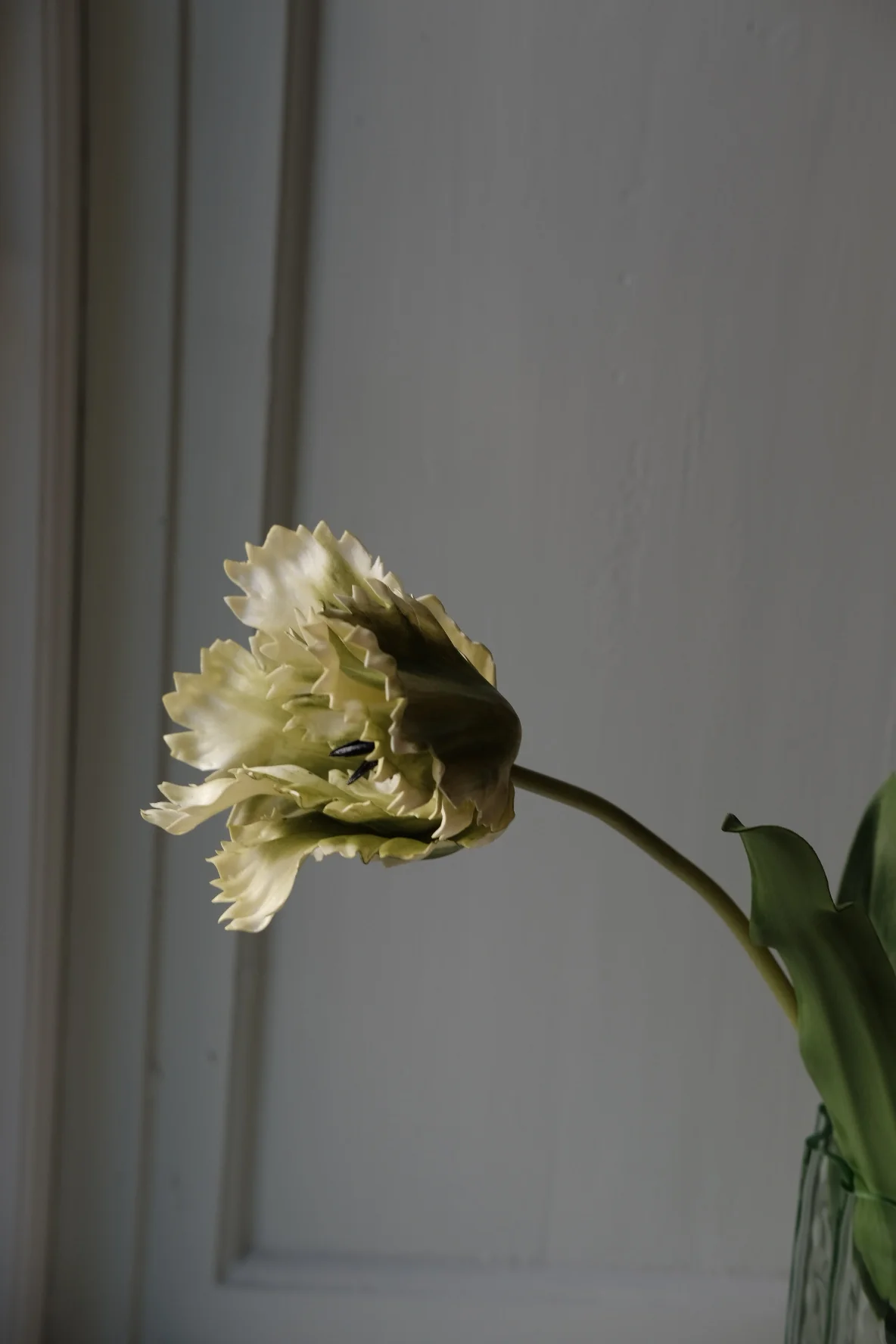 Blomst • Tulipan • Grøn hvid - Image 3
