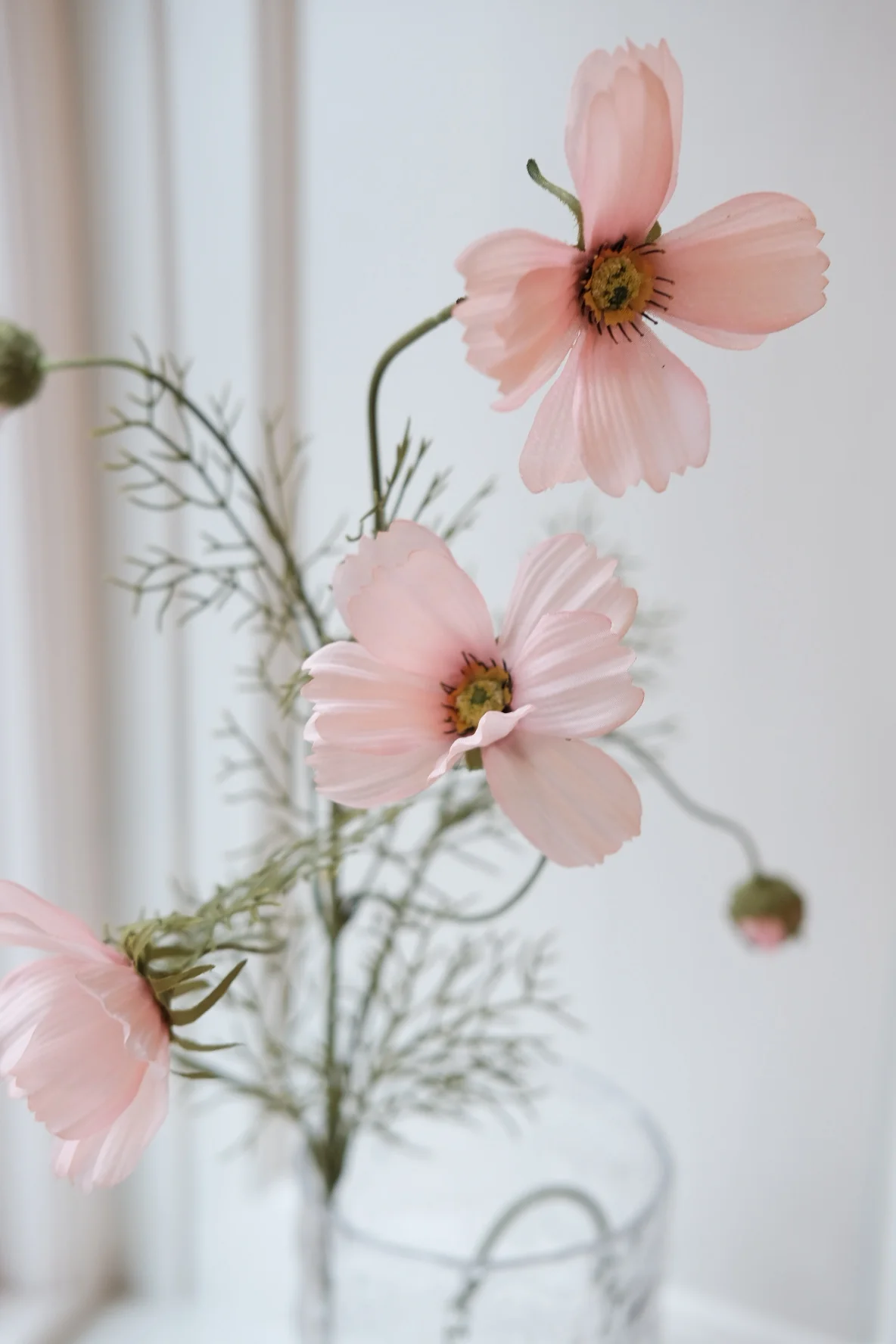 Blomst • Cosmos • Stolt Kavaler • Lyserød