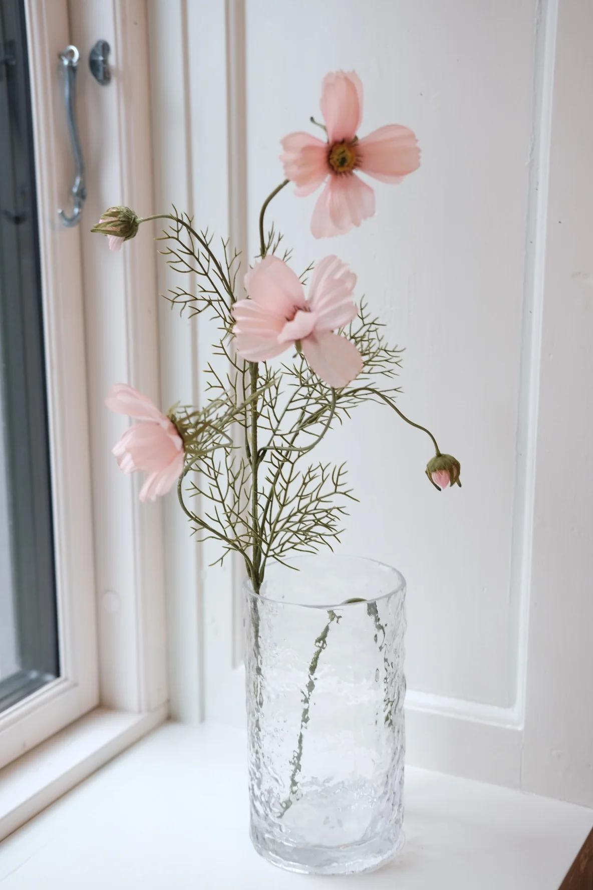 Blomst • Cosmos • Stolt Kavaler • Lyserød - Image 2