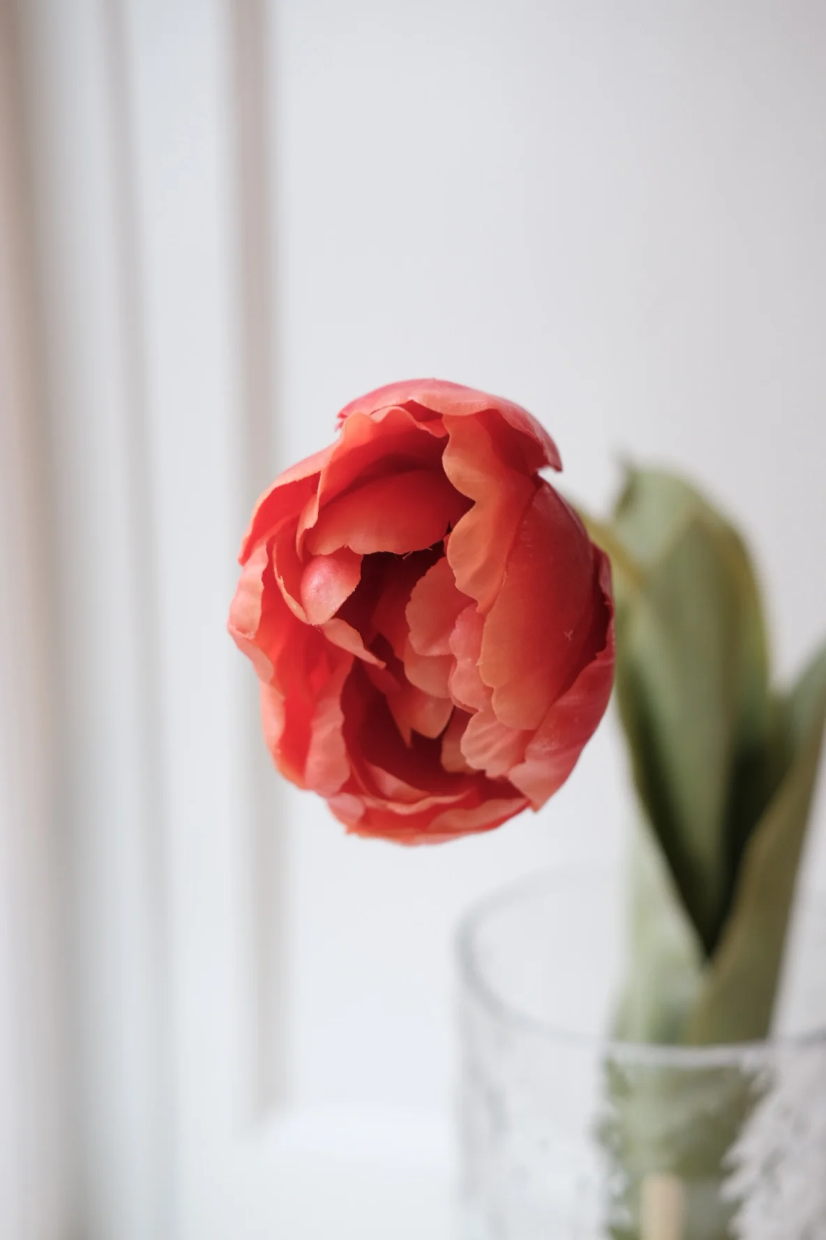 Blomst • Tulipan • Spray • Orange - Image 2